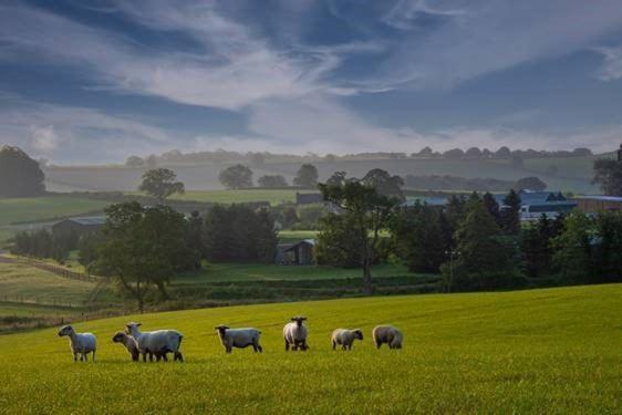 Villa Hollybank Barn Dorchester Esterno foto